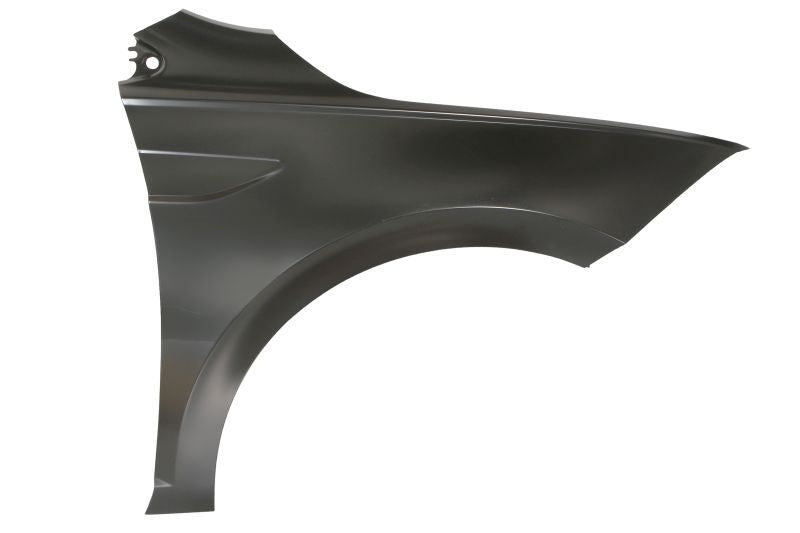 VW POLO (VI), 17 - Sparnas