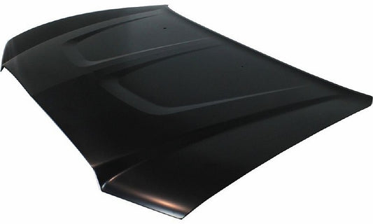 DODGE CHARGER, 11 - 14   Kapotas