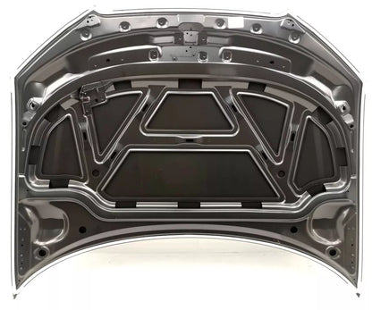 AUDI A3 (8P), 03 - 12 Kapotas